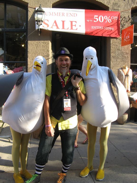 seagulls